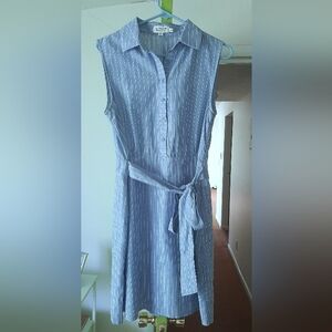 Blue Striped Sleeveless Dress